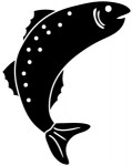 fish_bw