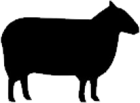 lamb_bw